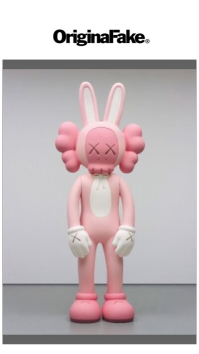 Pidan｜KAWS