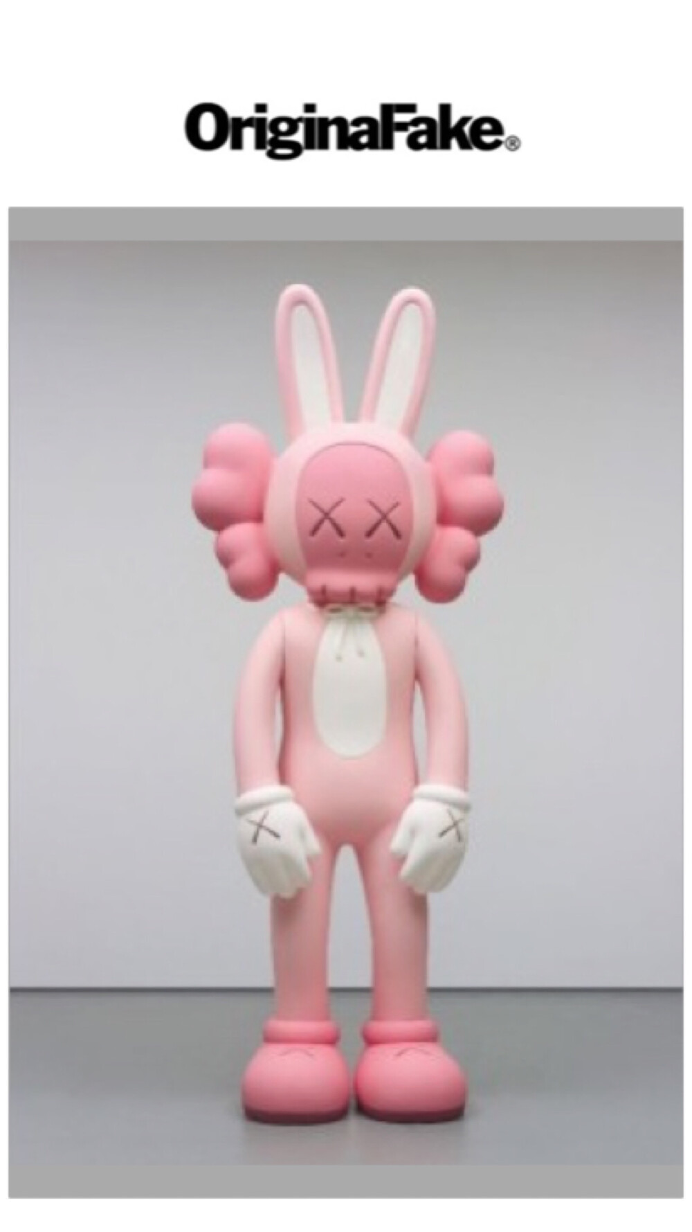 Pidan｜KAWS