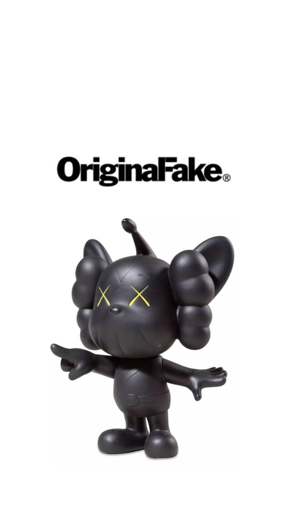 Pidan｜KAWS