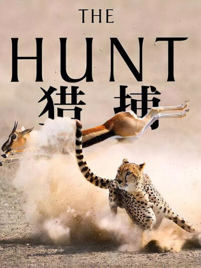 猎捕 The Hunt