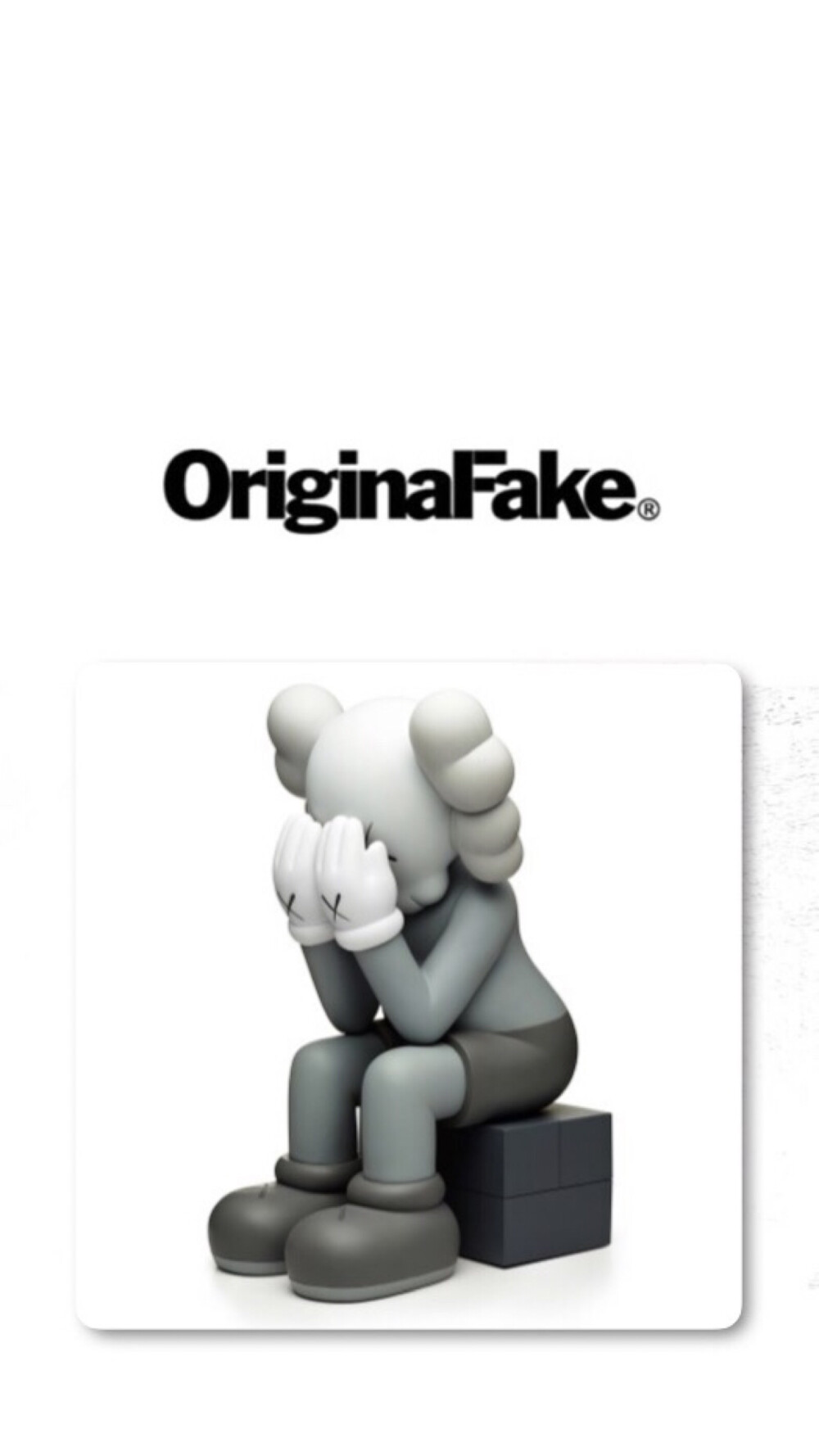 Pidan｜KAWS