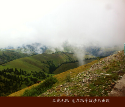 高山草甸