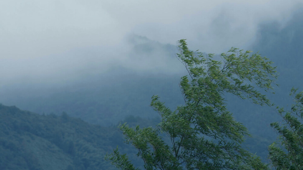 壁纸 背景 图集 /泛轻舟