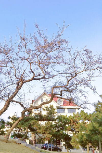 2018年，3月。青岛，太平角。周末，大晴，日暖。