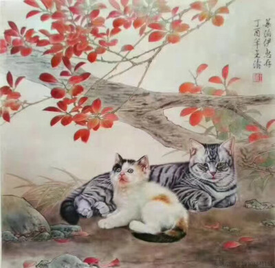 王涛工笔猫作品；字画经纪人——雍政坤；联系电话/微信:19903841155