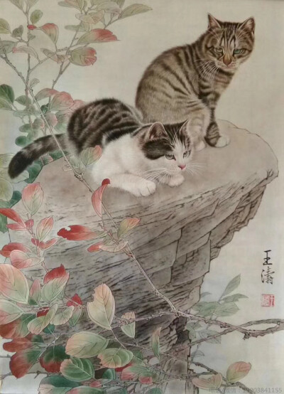 王涛工笔猫作品；字画经纪人——雍政坤；联系电话/微信:19903841155