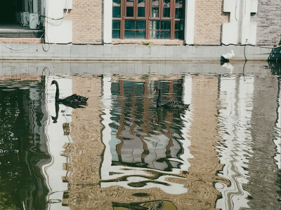 Yao の 主题摄影☔︎生活·湖蓝