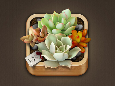 Succulent Plants