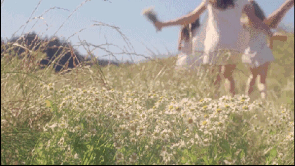 自截。勿转。自截欧美GIF
少女情怀总是春 | Marc Jacobs ，Sofia Coppola ​​​​ ​​​​ ​​​​ ​​​​ 