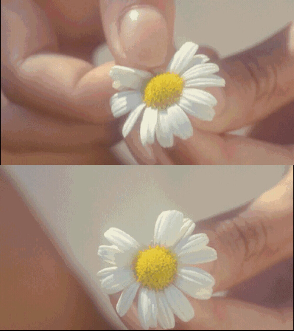 自截。勿转。自截欧美GIF
少女情怀总是春 | Marc Jacobs ，Sofia Coppola ​​​​ ​​​​ ​​​​ ​​​​ 