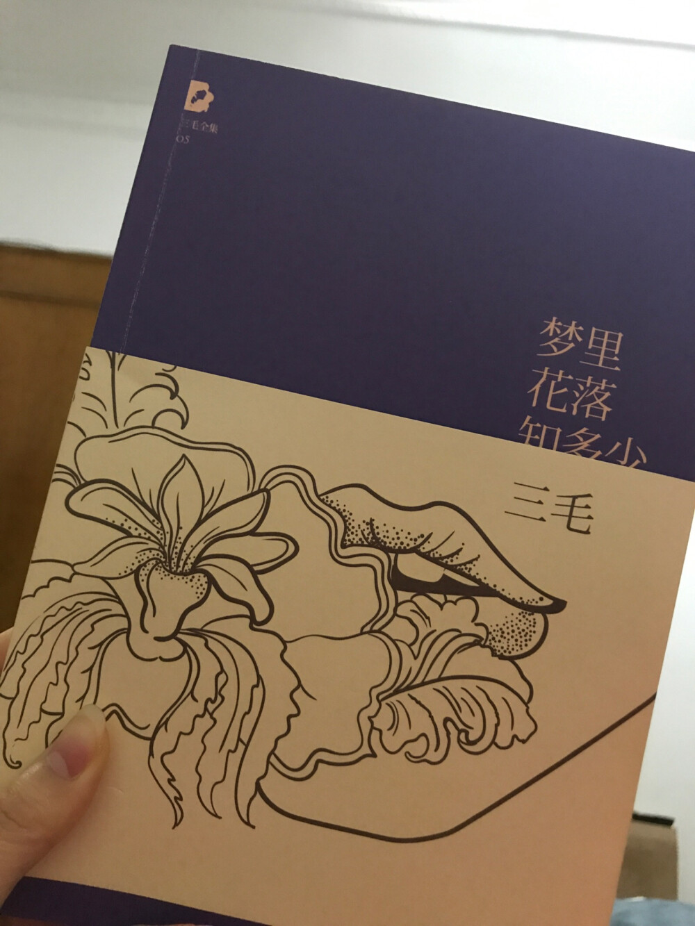 看得特别心痛的一本书，想过把三毛的书一套看下来，总会看到荷西离开后的三毛，可是还是被震撼，一个人到底要经历多痛的事，经历多深的绝望，才会亲手杀死过去那个自己，对所有深爱的人和物说永别？