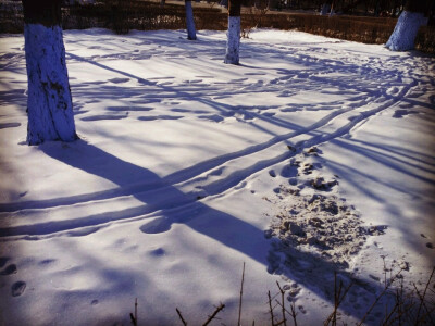 哈工大，阳光下的斑驳雪地