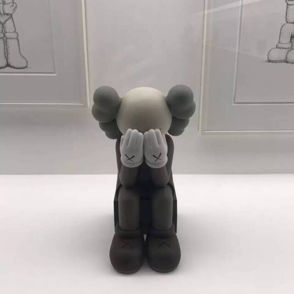 Pidan｜KAWS