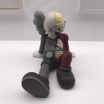 Pidan｜KAWS