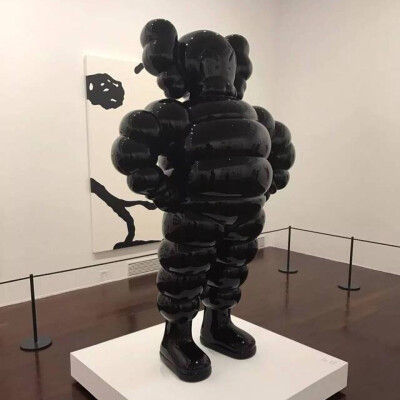 Pidan｜KAWS