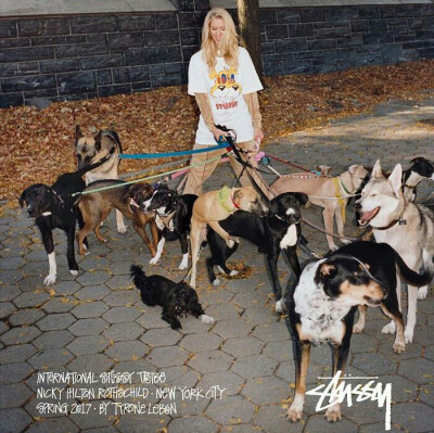 Pidan｜Stussy