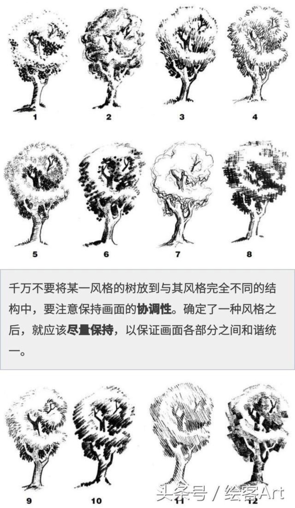 树的画法