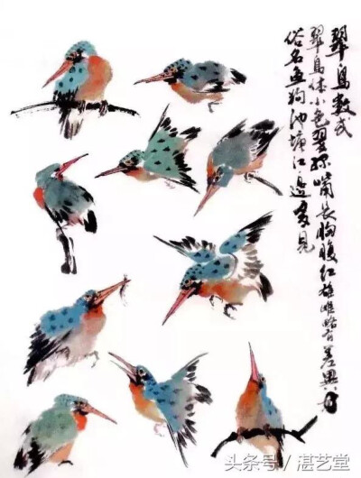 翠鸟的画法