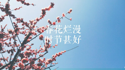 学校的梅花，好像是梅花吧？？？？