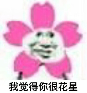 花星