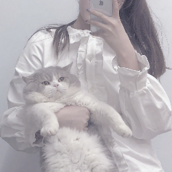 ♥原截：小猪∽∽∽∽♥