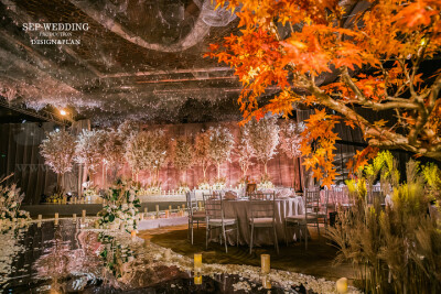 《当我望向你，四季就在我眼前》我要给你写一封很长的信，大概需要一年吧； 把春天柳树抽出的第一颗嫩芽写进信； 把夏天知了的第一声蝉鸣声装进信里； 把秋天黄昏时的第一片晚霞印在信里； 再把冬天的第一场干净的雪…