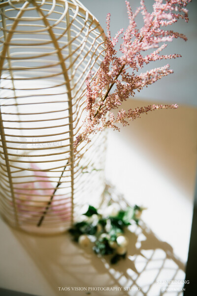 《当我望向你，四季就在我眼前》我要给你写一封很长的信，大概需要一年吧； 把春天柳树抽出的第一颗嫩芽写进信； 把夏天知了的第一声蝉鸣声装进信里； 把秋天黄昏时的第一片晚霞印在信里； 再把冬天的第一场干净的雪…