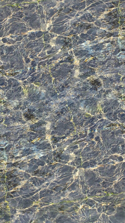 水波纹
