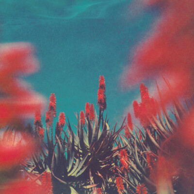 过期的宝丽来 ｜Neil Krug ​​​​