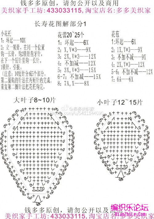 迎春花