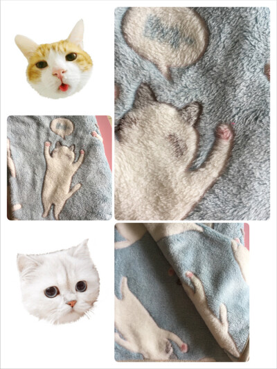 春夏日系猫咪卡通毛毯盖腿空调毯办公室午休毯单双人毛毯珊瑚绒毯