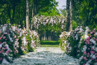 《草坪婚礼·姝颜》以花为路引，为新人打造一片粉红的花海，浪漫如初恋的粉红玫瑰，象征纯洁爱情的蝴蝶兰，这场森林里鲜花绽放的婚礼会收获最好的幸福。