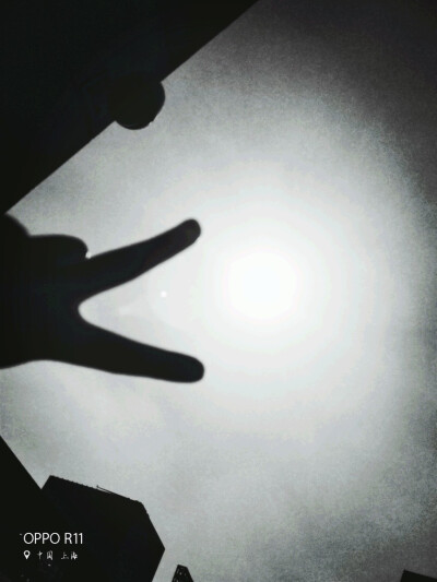 忘却
忘忧
亦安康