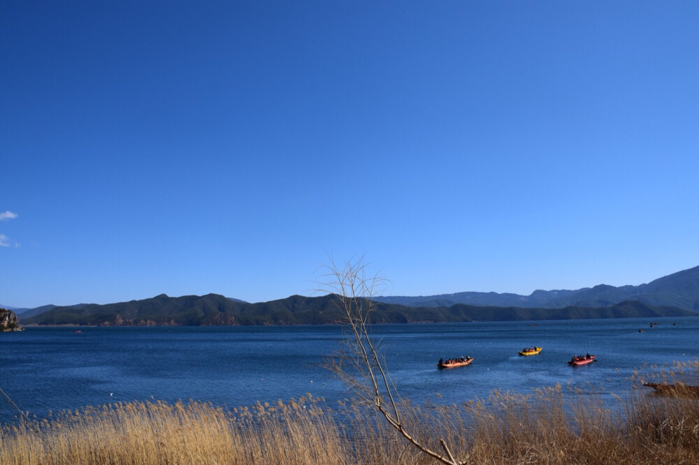 泸沽湖