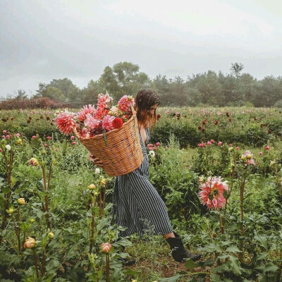 花与女孩