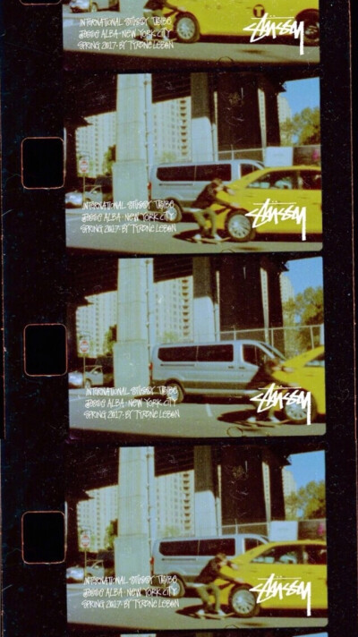 Pidan｜Stussy