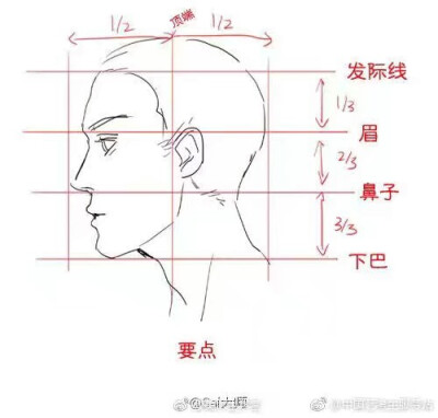 三庭五眼