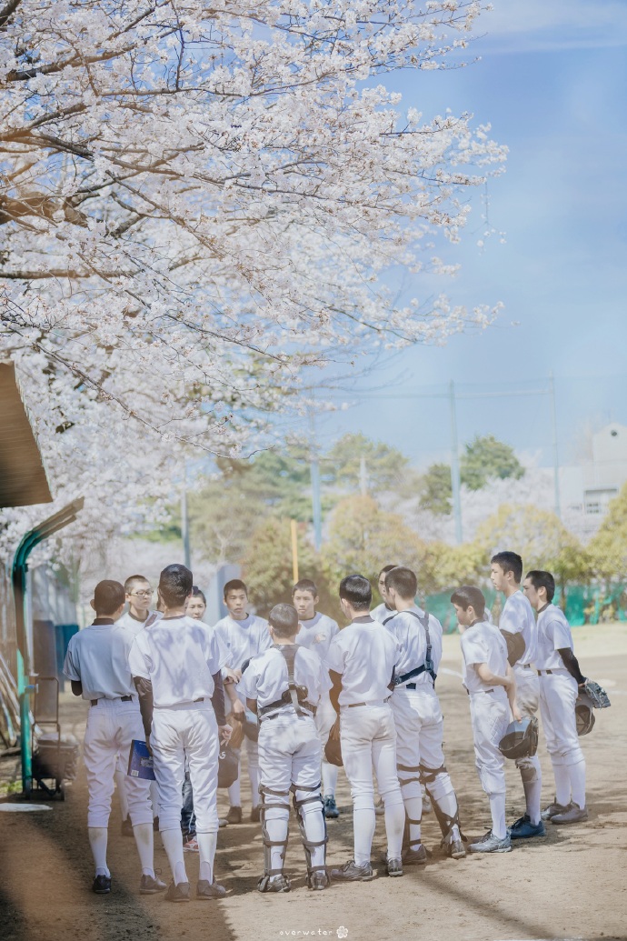 桜の木の下で ​​​​