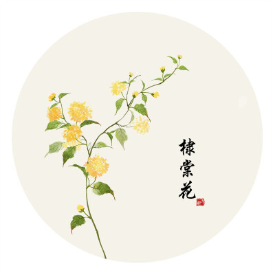 〔 莳花景 〕作者' 无轩