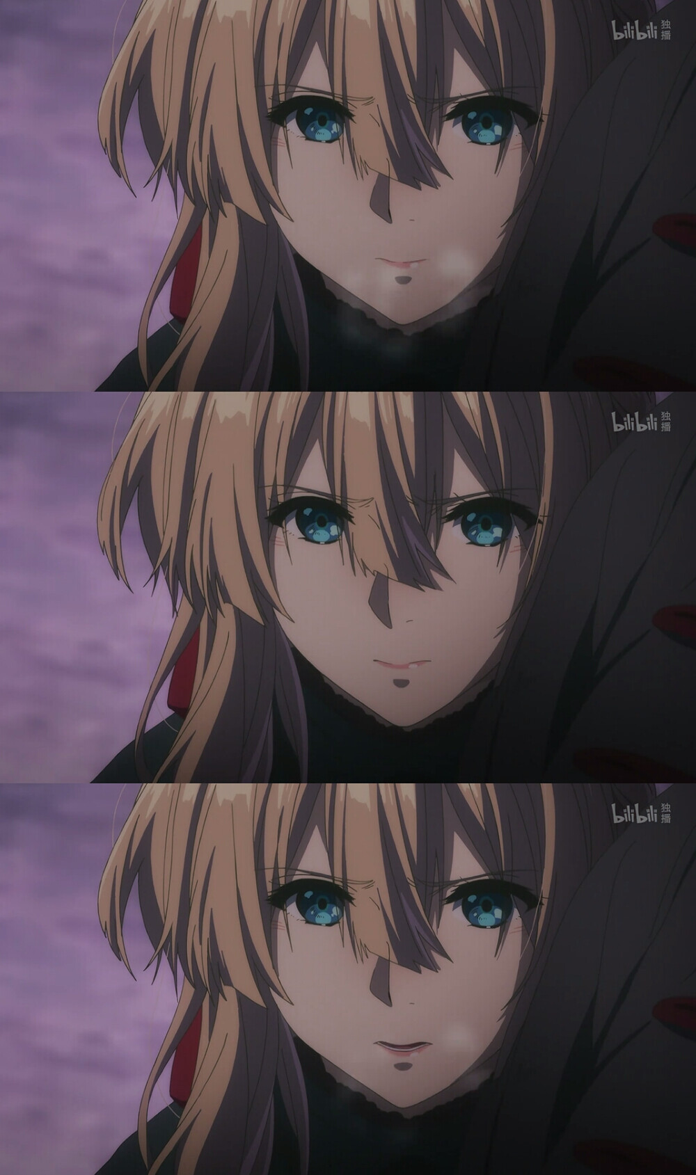 壁纸紫罗兰永恒花园薇尔希特赞评论8更多