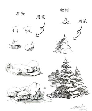 素描 教程  简笔