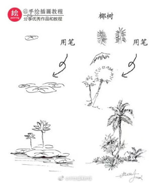 素描 教程  简笔