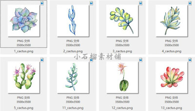 水彩手绘渐变色多肉植物装饰背景图案图片JPG设计素材jpg48