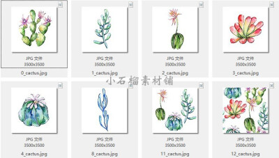 水彩手绘渐变色多肉植物装饰背景图案图片JPG设计素材jpg48