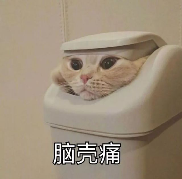 脑壳疼