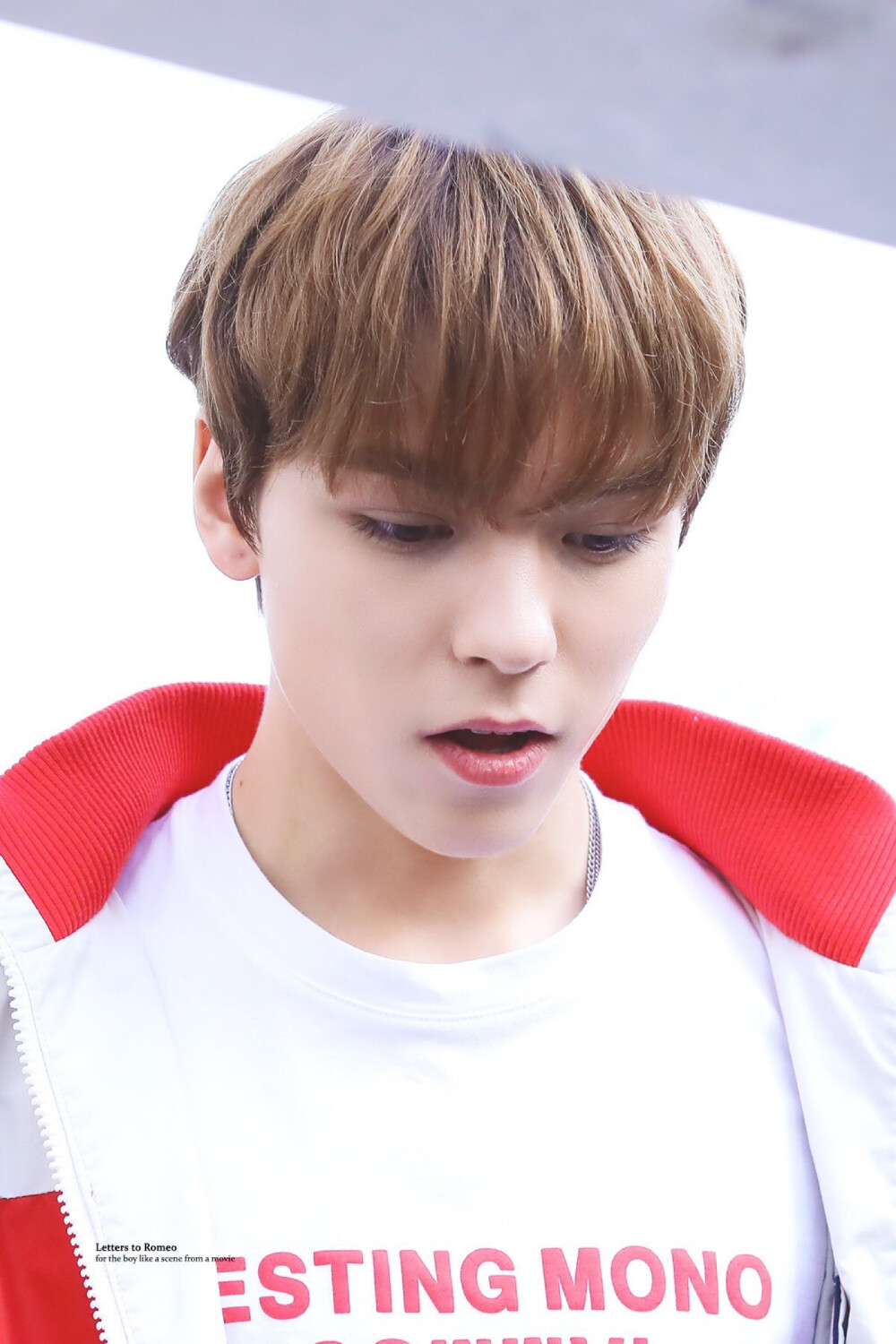 Vernon
