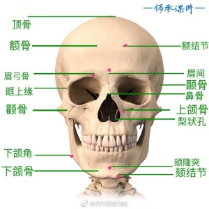 红酒瓶的结构素描- 高清图片，堆糖，美图壁纸兴趣社区