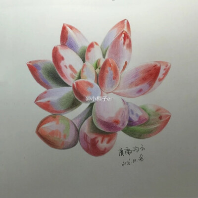 彩铅画
