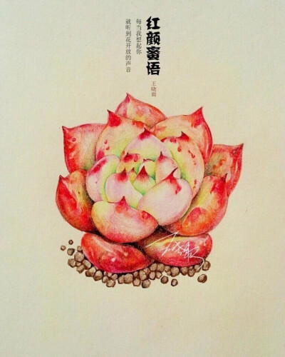 彩铅画