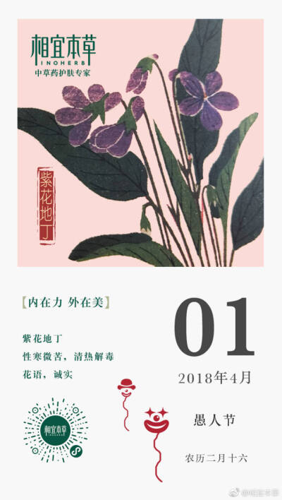 紫花地丁